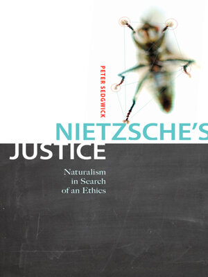 cover image of Nietzsche's Justice
